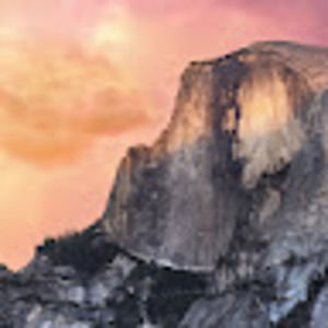 Meet your Posher, Sean